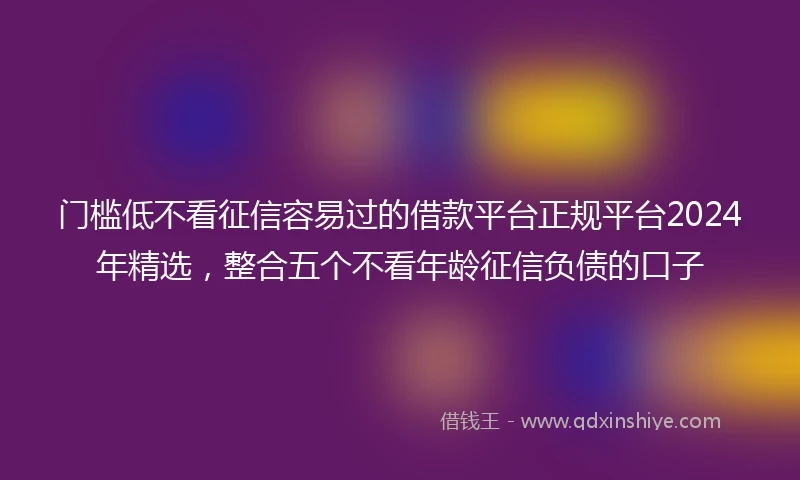 门槛低不看征信容易过的借款平台正规平台2024年精选，整合五个不看年龄征信负债的口子