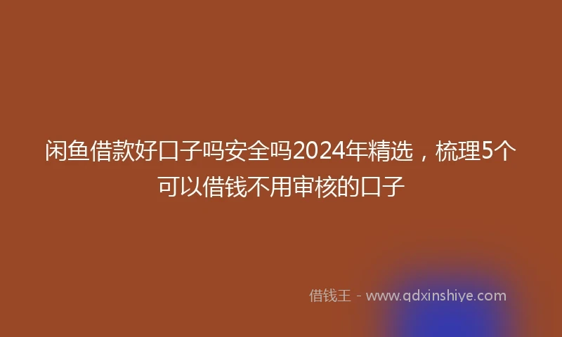 闲鱼借款好口子吗安全吗2024年精选，梳理5个可以借钱不用审核的口子