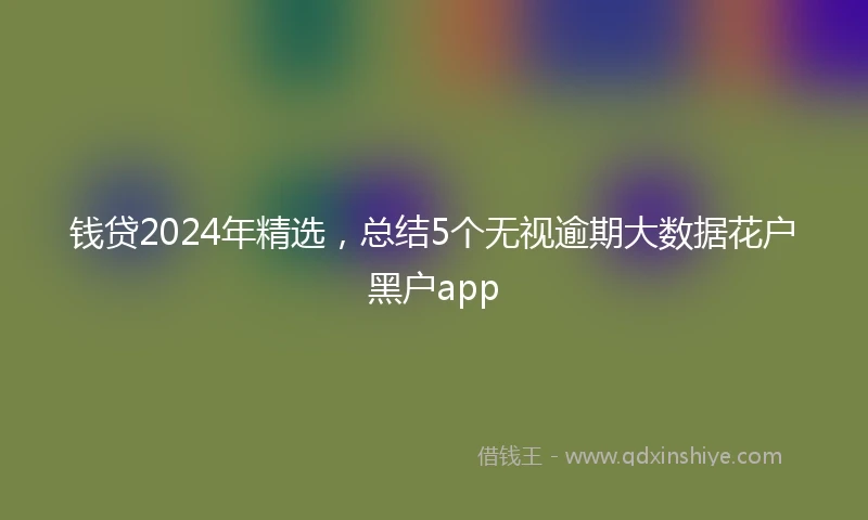 钱贷2024年精选，总结5个无视逾期大数据花户黑户app