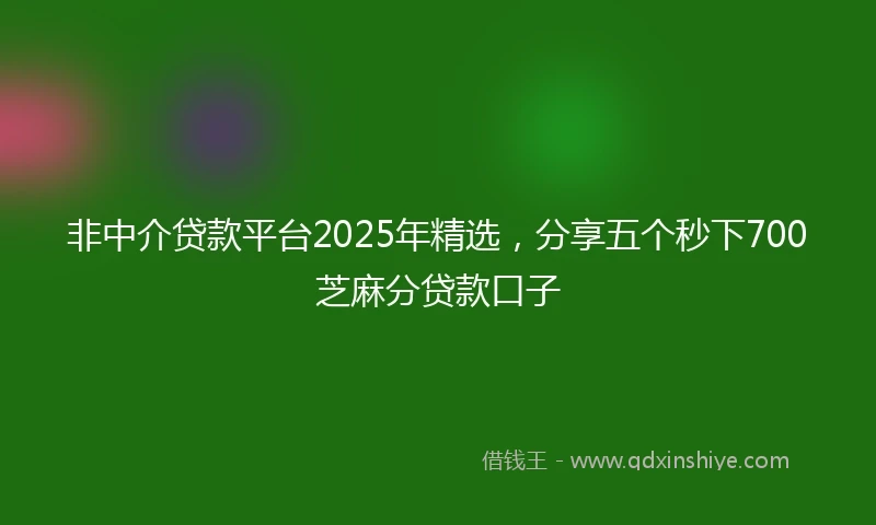 非中介贷款平台2025年精选，分享五个秒下700芝麻分贷款口子