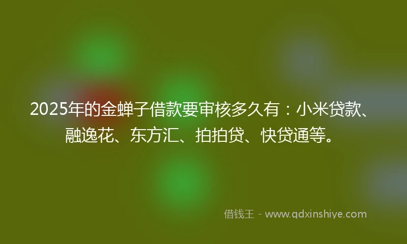 2025年的金蝉子借款要审核多久有：小米贷款、融逸花、东方汇、拍拍贷、快贷通等。