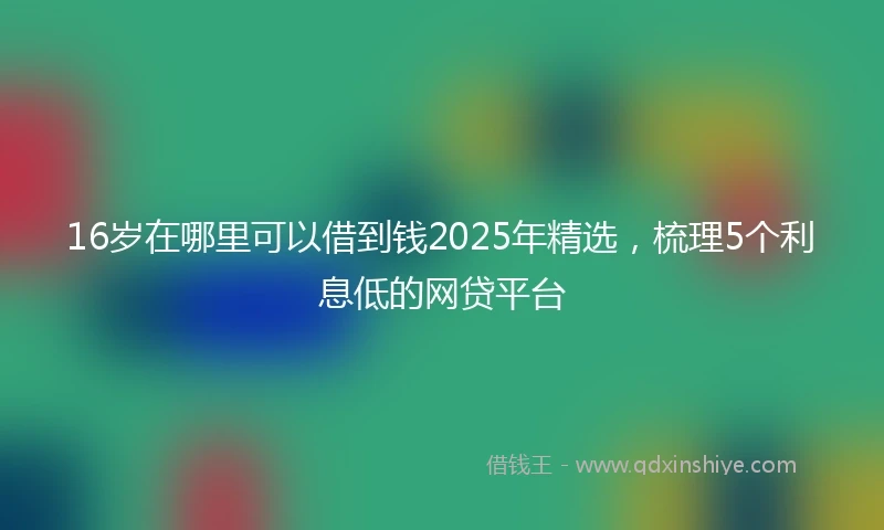 16岁在哪里可以借到钱2025年精选，梳理5个利息低的网贷平台