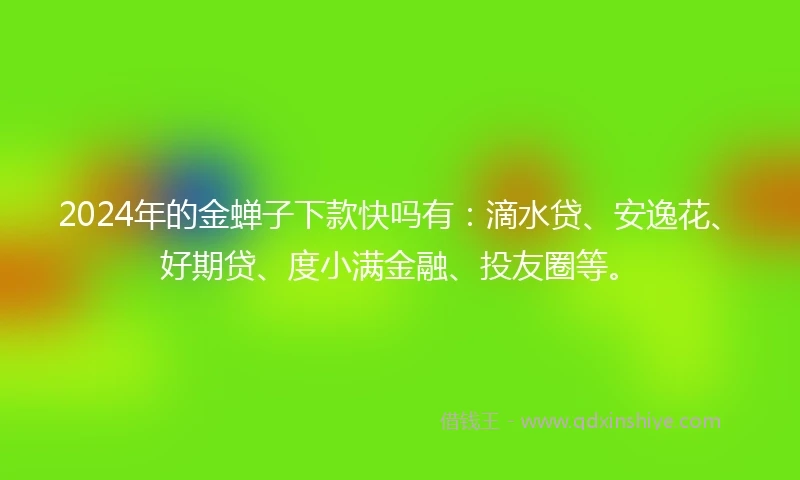 2024年的金蝉子下款快吗有：滴水贷、安逸花、好期贷、度小满金融、投友圈等。