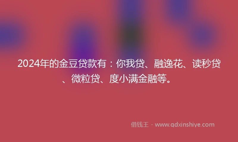 2024年的金豆贷款有：你我贷、融逸花、读秒贷、微粒贷、度小满金融等。
