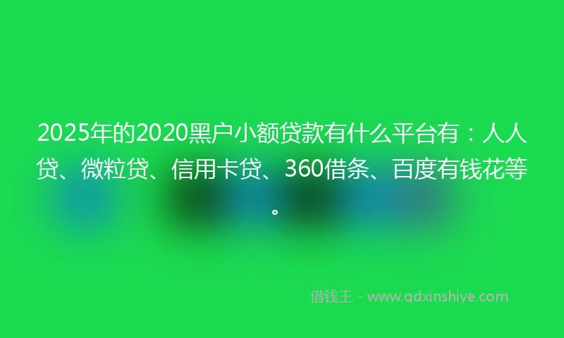 2025年的2020黑户小额贷款有什么平台有：人人贷、微粒贷、信用卡贷、360借条、百度有钱花等。