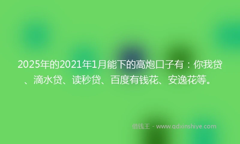 2025年的2021年1月能下的高炮口子有：你我贷、滴水贷、读秒贷、百度有钱花、安逸花等。