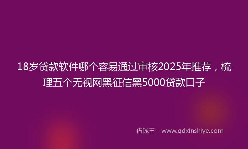 18岁贷款软件哪个容易通过审核2025年推荐，梳理五个无视网黑征信黑5000贷款口子