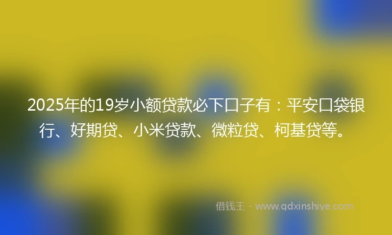 2025年的19岁小额贷款必下口子有：平安口袋银行、好期贷、小米贷款、微粒贷、柯基贷等。