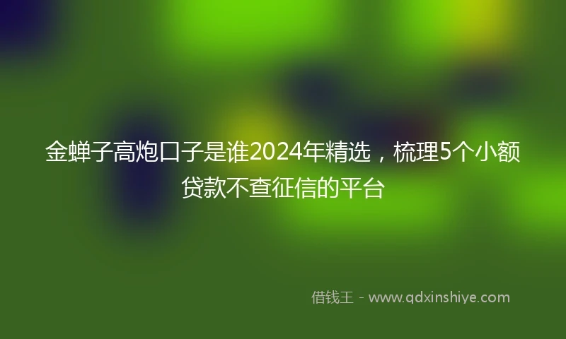 金蝉子高炮口子是谁2024年精选，梳理5个小额贷款不查征信的平台