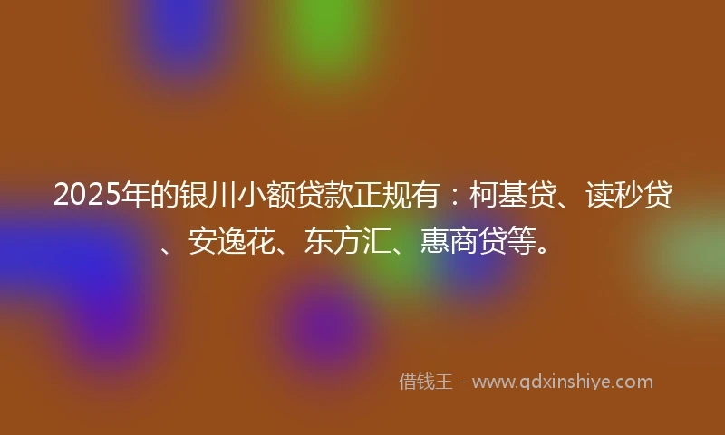 2025年的银川小额贷款正规有：柯基贷、读秒贷、安逸花、东方汇、惠商贷等。