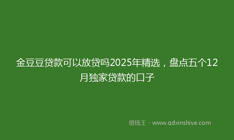 金豆豆贷款可以放贷吗2025年精选，盘点五个12月独家贷款的口子