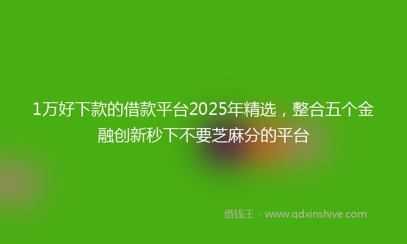 1万好下款的借款平台2025年精选，整合五个金融创新秒下不要芝麻分的平台