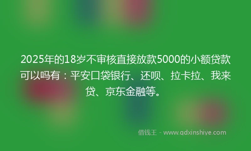 2025年的18岁不审核直接放款5000的小额贷款可以吗有：平安口袋银行、还呗、拉卡拉、我来贷、京东金融等。