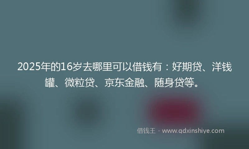 2025年的16岁去哪里可以借钱有：好期贷、洋钱罐、微粒贷、京东金融、随身贷等。