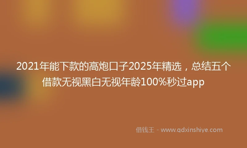 2021年能下款的高炮口子2025年精选，总结五个借款无视黑白无视年龄100%秒过app
