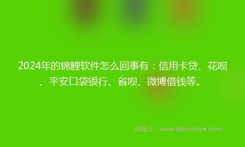 2024年的锦鲤软件怎么回事有：信用卡贷、花呗、平安口袋银行、省呗、微博借钱等。