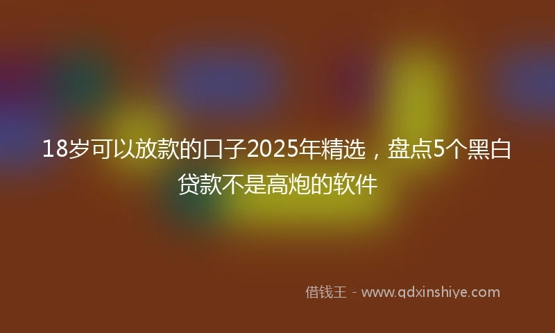 18岁可以放款的口子2025年精选，盘点5个黑白贷款不是高炮的软件