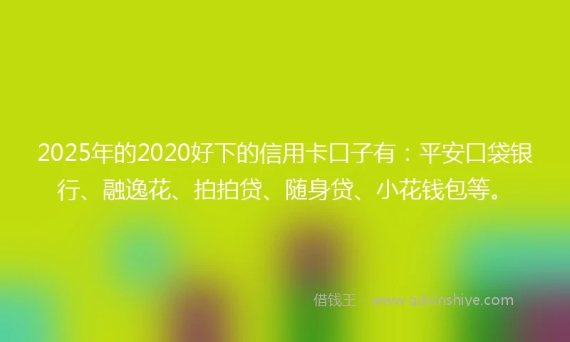 2025年的2020好下的信用卡口子有：平安口袋银行、融逸花、拍拍贷、随身贷、小花钱包等。