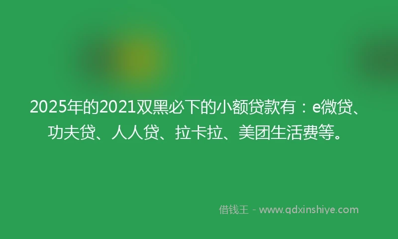 2025年的2021双黑必下的小额贷款有：e微贷、功夫贷、人人贷、拉卡拉、美团生活费等。