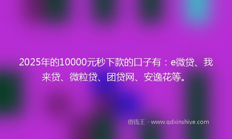 2025年的10000元秒下款的口子有：e微贷、我来贷、微粒贷、团贷网、安逸花等。