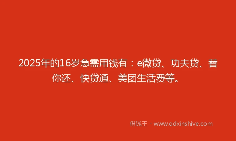 2025年的16岁急需用钱有：e微贷、功夫贷、替你还、快贷通、美团生活费等。