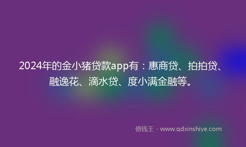 2024年的金小猪贷款app有：惠商贷、拍拍贷、融逸花、滴水贷、度小满金融等。