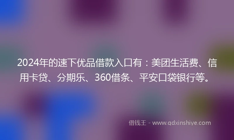 2024年的速下优品借款入口有：美团生活费、信用卡贷、分期乐、360借条、平安口袋银行等。