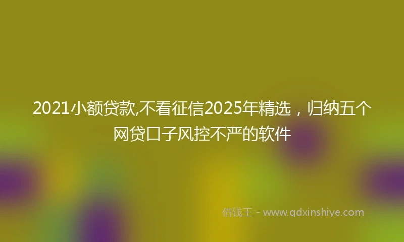 2021小额贷款,不看征信2025年精选，归纳五个网贷口子风控不严的软件