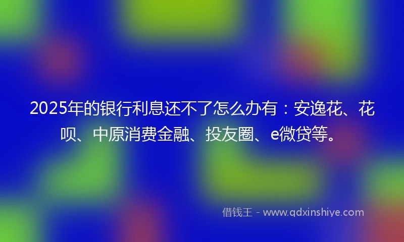 2025年的银行利息还不了怎么办有：安逸花、花呗、中原消费金融、投友圈、e微贷等。
