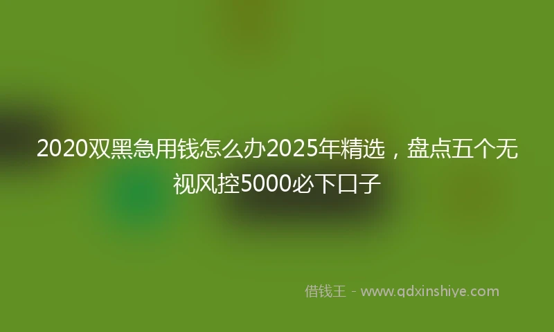 2020双黑急用钱怎么办2025年精选，盘点五个无视风控5000必下口子