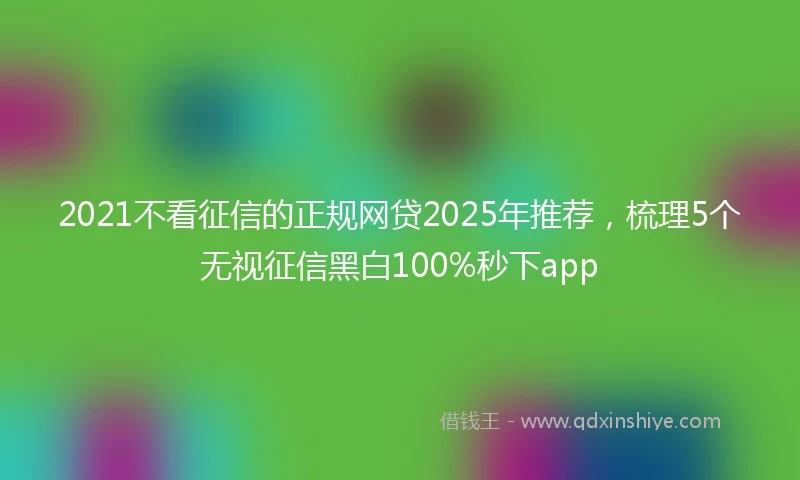 2021不看征信的正规网贷2025年推荐，梳理5个无视征信黑白100%秒下app