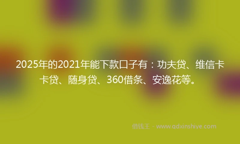 2025年的2021年能下款口子有：功夫贷、维信卡卡贷、随身贷、360借条、安逸花等。