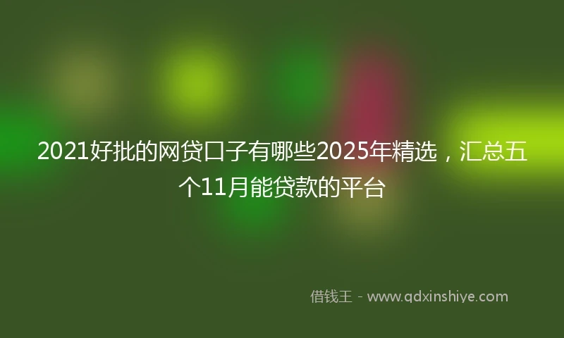 2021好批的网贷口子有哪些2025年精选，汇总五个11月能贷款的平台