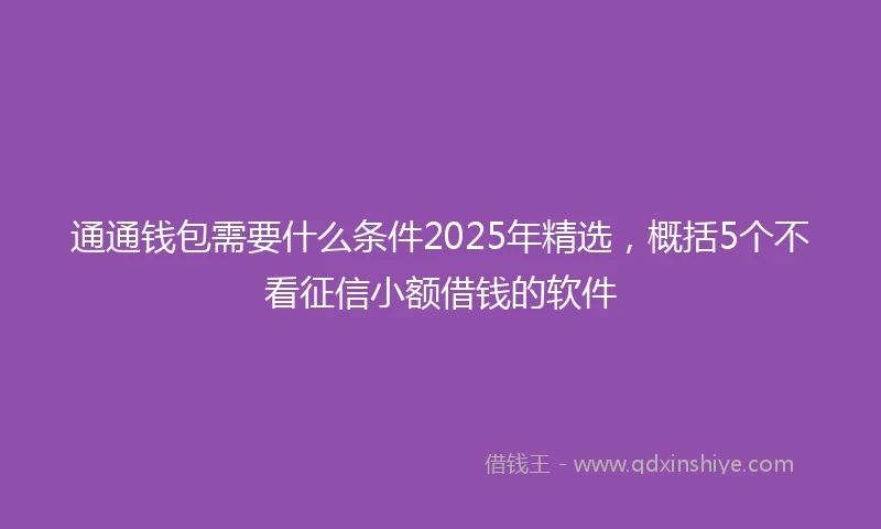 通通钱包需要什么条件2025年精选，概括5个不看征信小额借钱的软件