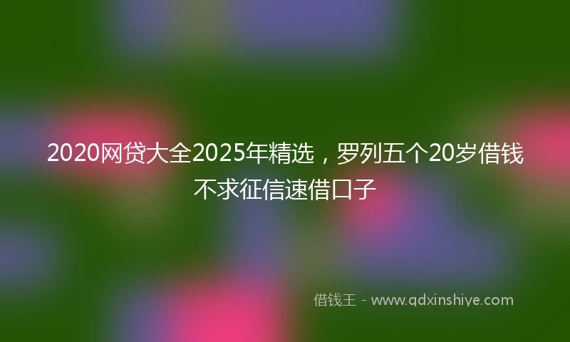2020网贷大全2025年精选，罗列五个20岁借钱不求征信速借口子