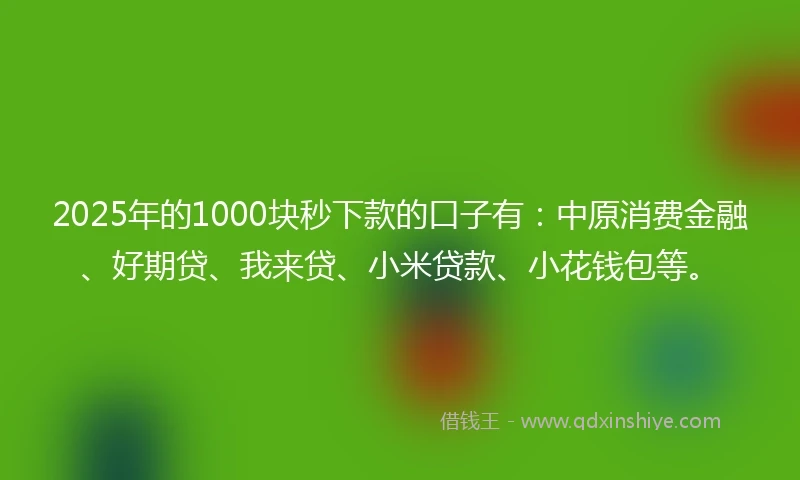 2025年的1000块秒下款的口子有：中原消费金融、好期贷、我来贷、小米贷款、小花钱包等。