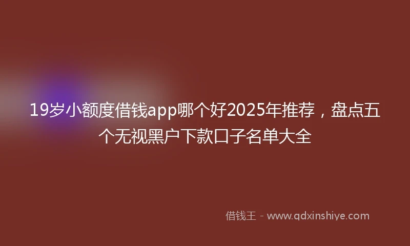 19岁小额度借钱app哪个好2025年推荐，盘点五个无视黑户下款口子名单大全