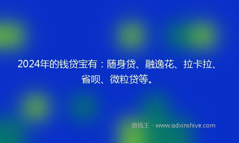2024年的钱贷宝有：随身贷、融逸花、拉卡拉、省呗、微粒贷等。