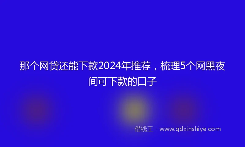 那个网贷还能下款2024年推荐，梳理5个网黑夜间可下款的口子