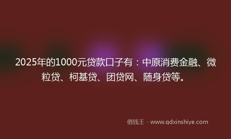 2025年的1000元贷款口子有：中原消费金融、微粒贷、柯基贷、团贷网、随身贷等。