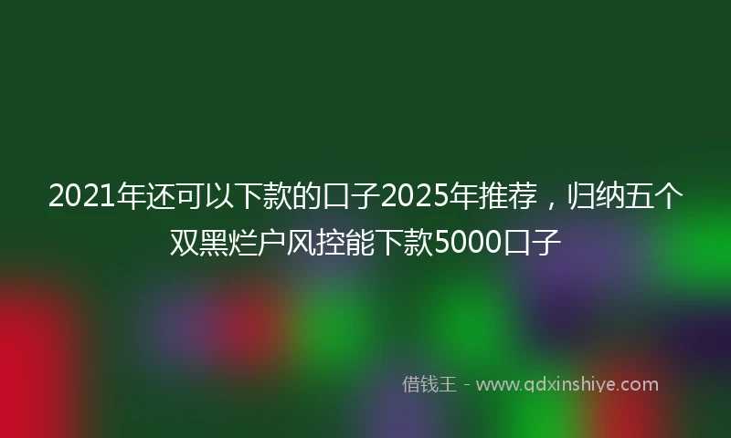 2021年还可以下款的口子2025年推荐，归纳五个双黑烂户风控能下款5000口子