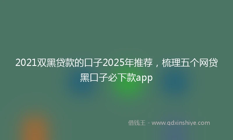 2021双黑贷款的口子2025年推荐，梳理五个网贷黑口子必下款app