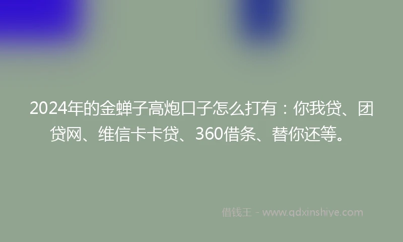 2024年的金蝉子高炮口子怎么打有：你我贷、团贷网、维信卡卡贷、360借条、替你还等。