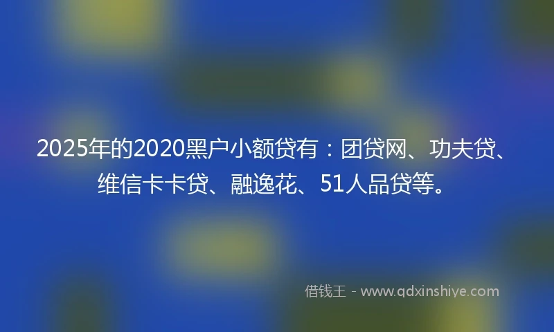 2025年的2020黑户小额贷有：团贷网、功夫贷、维信卡卡贷、融逸花、51人品贷等。