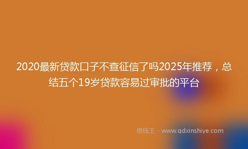 2020最新贷款口子不查征信了吗2025年推荐，总结五个19岁贷款容易过审批的平台