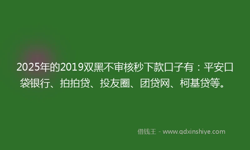 2025年的2019双黑不审核秒下款口子有：平安口袋银行、拍拍贷、投友圈、团贷网、柯基贷等。