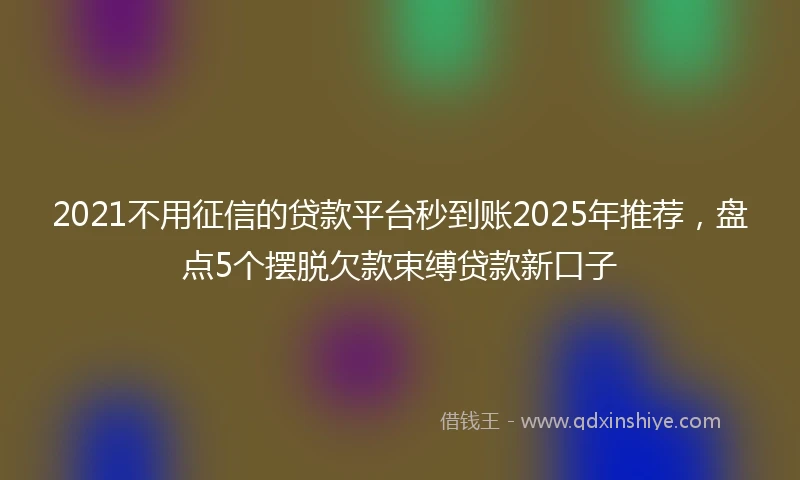 2021不用征信的贷款平台秒到账2025年推荐，盘点5个摆脱欠款束缚贷款新口子