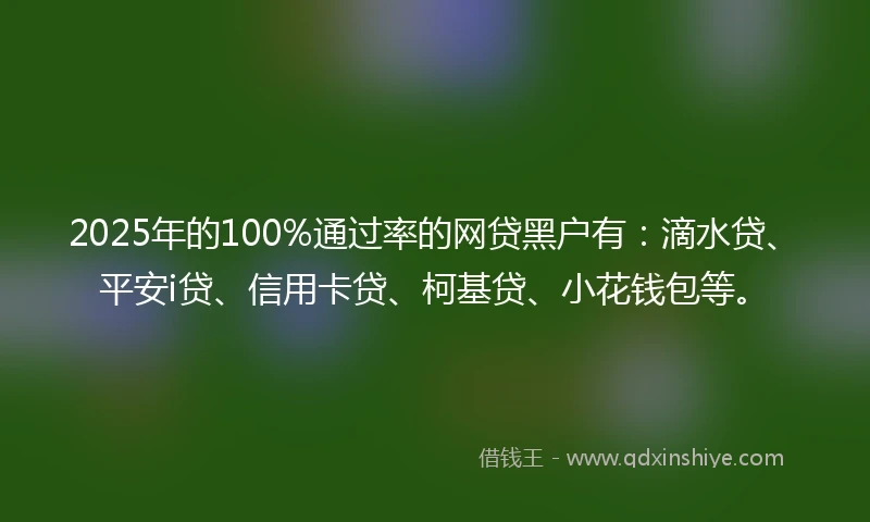 2025年的100%通过率的网贷黑户有：滴水贷、平安i贷、信用卡贷、柯基贷、小花钱包等。