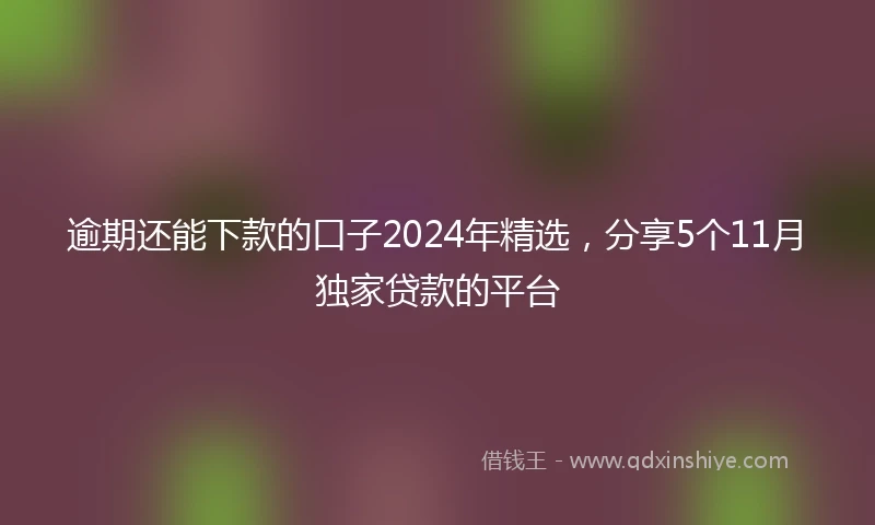 逾期还能下款的口子2024年精选，分享5个11月独家贷款的平台