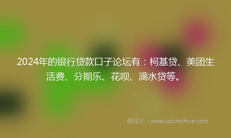 2024年的银行贷款口子论坛有：柯基贷、美团生活费、分期乐、花呗、滴水贷等。